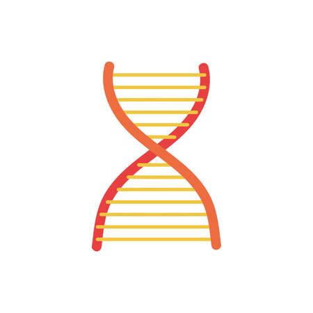 dna molecule structure isolated icon vector illustration designのイラスト素材