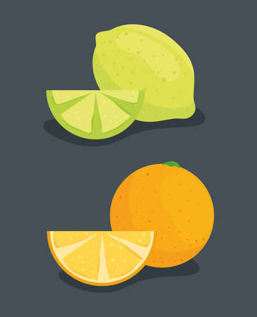 orange with lemon and sliced, fresh fruits vector illustration designのイラスト素材