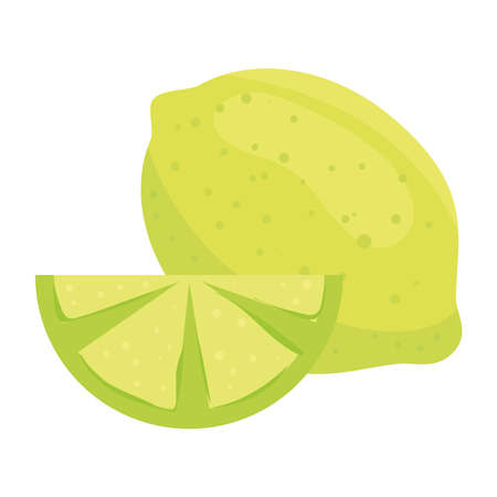 lemon whole and slice, healthy fruit, in white background vector illustration designのイラスト素材