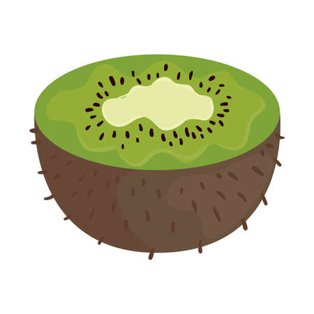fresh kiwi fruit in white background vector illustration designのイラスト素材