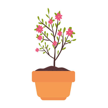 house pot plant with flowers on white background vector illustration designのイラスト素材