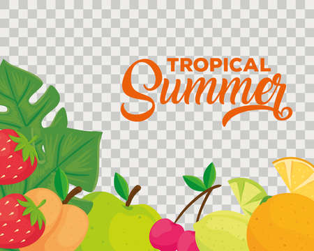 tropical summer banner, and fresh fruits vector illustration designのイラスト素材