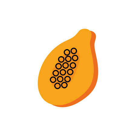 fresh papaya fruit isolated icon vector illustration designのイラスト素材