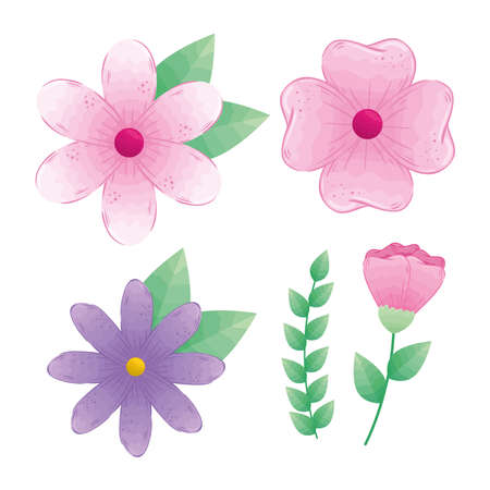 set of flowers pink and purple color with branches and leaves vector illustration designのイラスト素材