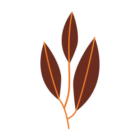 autumn leaves plant seasonal isolated icon vector illustration designのイラスト素材
