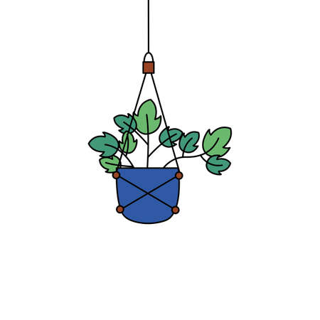 Hanging plant inside pot design, Garden ornament nature botany natural and floral theme Vector illustrationのイラスト素材