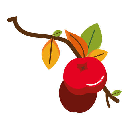 branch with acorns autumn fruits seasonal vector illustration designのイラスト素材