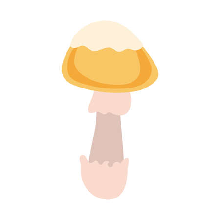 fungus plant cortinarius orellanus hand draw style vector illustration designのイラスト素材