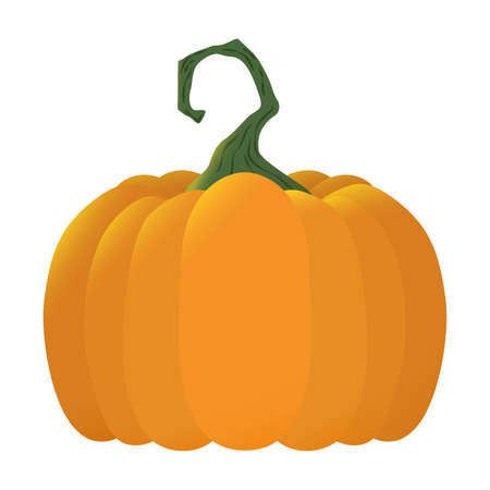 halloween pumpkin fruit seasonal icon vector illustration designのイラスト素材