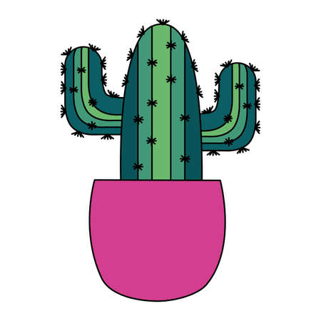 Cactus inside pot design, Plant desert nature tropical summer mexico and western theme Vector illustrationのイラスト素材