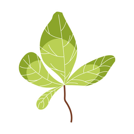 autumn leaf plant seasonal isolated icon vector illustration designのイラスト素材