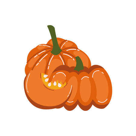 autumn pumpkin fruit seasonal isolated icon vector illustration designのイラスト素材