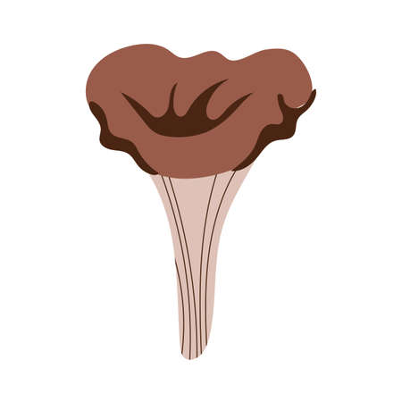 fungus plant paxillus involutus hand draw style icon vector illustration designのイラスト素材
