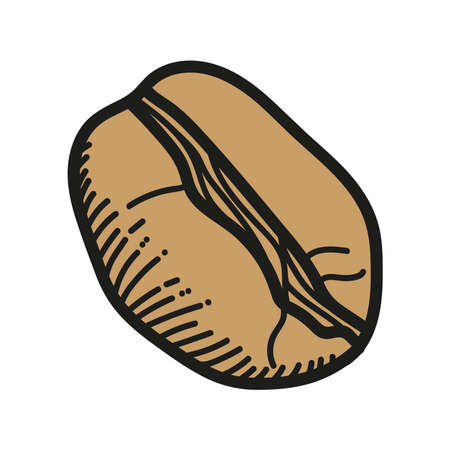 Coffee bean design of time drink breakfast beverage shop morning store aroma and caffeine theme Vector illustrationのイラスト素材