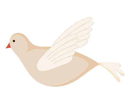 white dove flying on white background vector illustration designのイラスト素材