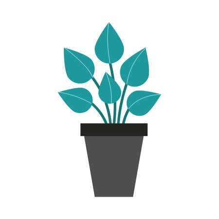 houseplant nature flat style icon vector illustration designのイラスト素材