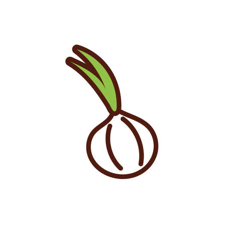 fresh garlic vegetable flat style vector illustration designのイラスト素材