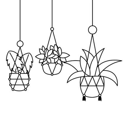 Hanging plants inside pots design, Garden ornament nature botany natural and floral theme Vector illustrationのイラスト素材