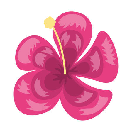 tropical exotic flower decoration icon on white background vector illustrationのイラスト素材