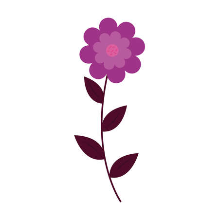 flower design, natural floral nature plant ornament garden decoration and botany theme Vector illustrationのイラスト素材