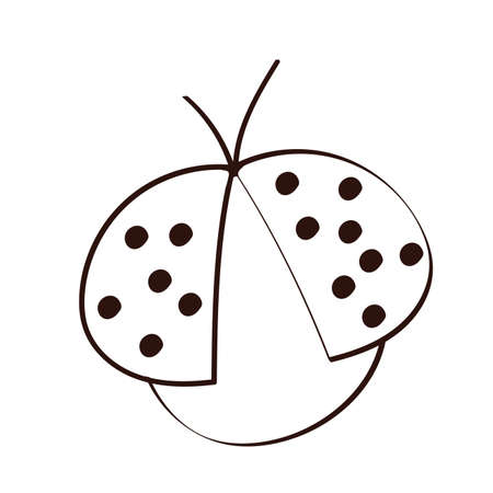cute ladybug spring insect line style vector illustration designのイラスト素材