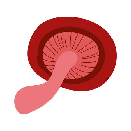 fungus plant praxillus involutus hand draw style icon vector illustration designのイラスト素材