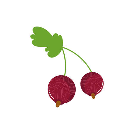 grapes exotic fruits flat style vector illustration designのイラスト素材