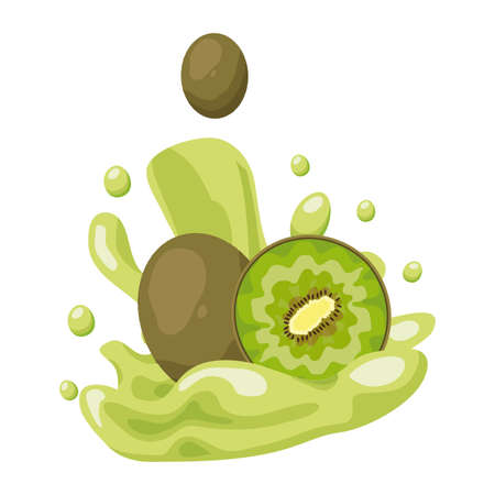 exotic kiwi juice splash tropical fruits vector illustrationのイラスト素材