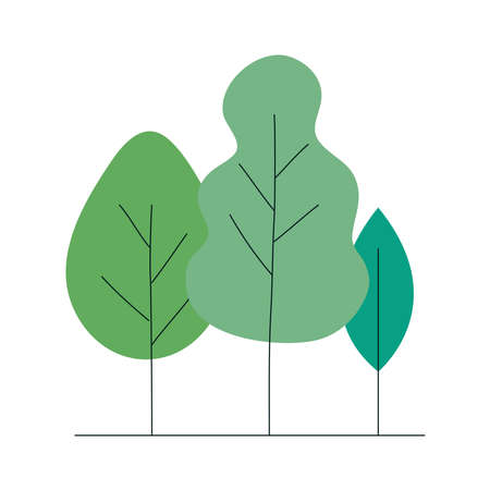Trees design, Nature plant season environment natural and ecology theme Vector illustrationのイラスト素材