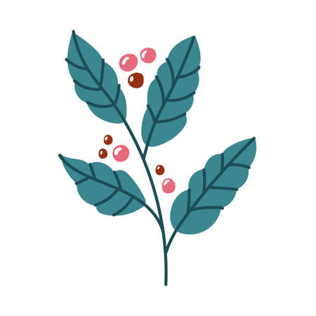 coffee plant with seeds free form style icon vector illustration designのイラスト素材