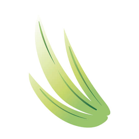 leaf palm hand draw style icon vector illustration designのイラスト素材