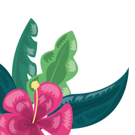 flower tropical leaves decoration on white background vector illustrationのイラスト素材