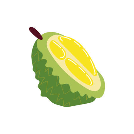 jackfruit exotic fruit flat style icon vector illustration designのイラスト素材