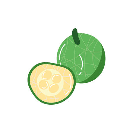 sour guava exotic fruit flat style vector illustration designのイラスト素材
