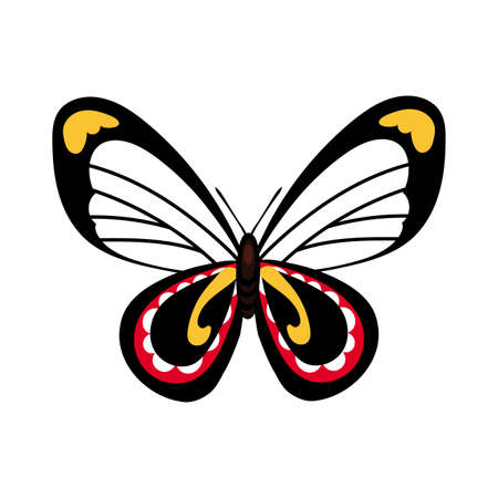 beautiful butterfly insect black flat style icon vector illustration designのイラスト素材
