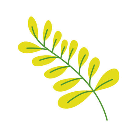 autumn branch with leafs ecology season vector illustration designのイラスト素材