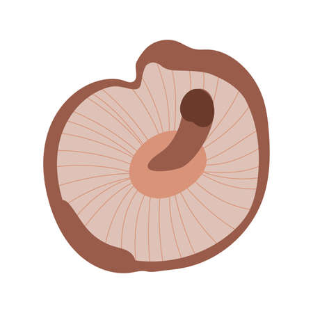 fungus plant praxillus involutus hand draw style icon vector illustration designのイラスト素材