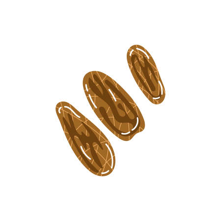 capers exotic fruit flat style vector illustration designのイラスト素材