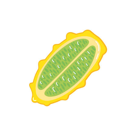 durian exotic fruit flat style vector illustration designのイラスト素材