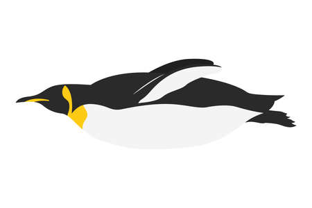 little cute penguin bird lying down character vector illustration designのイラスト素材
