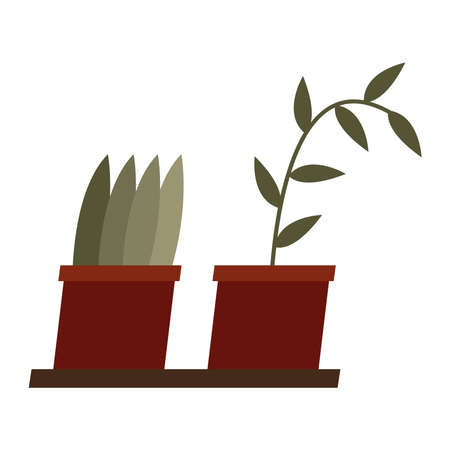Plants inside pots design of Floral nature garden ornament botany decoration beauty and flora theme Vector illustrationのイラスト素材