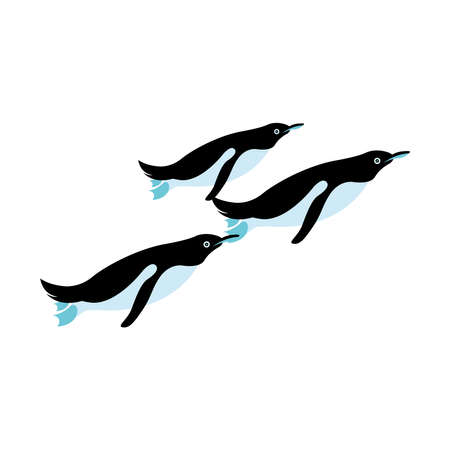 penguins animal design Sea life ecosystem fauna and ocean theme Vector illustrationのイラスト素材