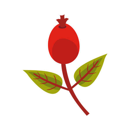 autum ovates leafs with seed flat style icon vector illustration designのイラスト素材