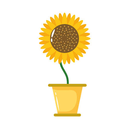 sunflower growth plant in ceramic pot flat style icon vector illustration designのイラスト素材