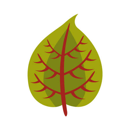 autumn ovate leaf flat style icon vector illustration designのイラスト素材