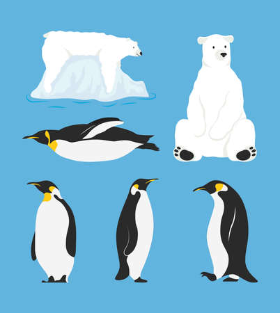 group of penguins birds and polar bears characters vector illustration designのイラスト素材