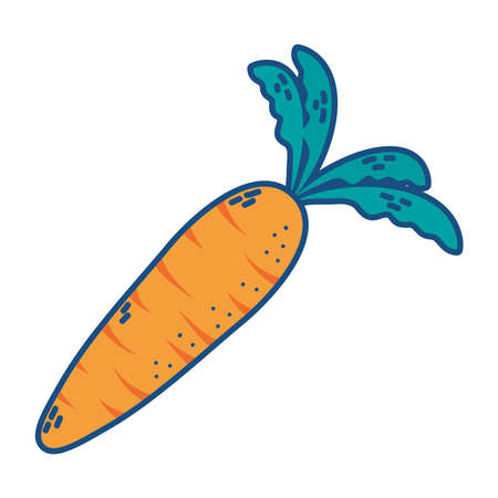 fresh carrot vegetable isolated icon vector illustration designのイラスト素材