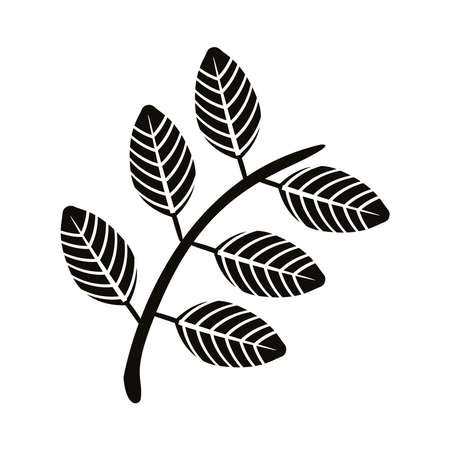 autumn pinnate leaf silhouette style icon vector illustration designのイラスト素材