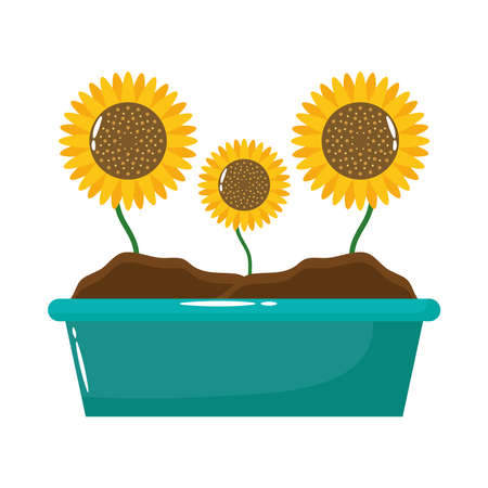 sunflowers growth plant flat style icon vector illustration designのイラスト素材