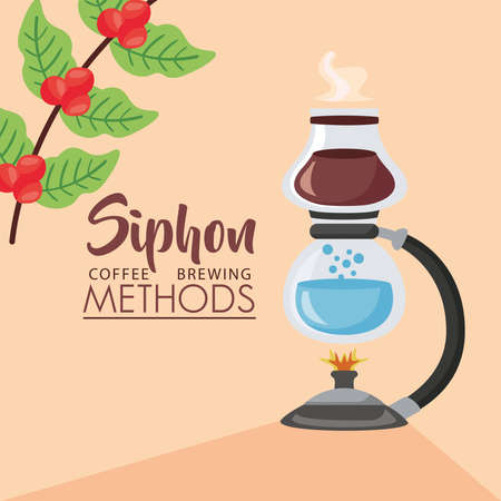 coffee brewing methods poster with siphon burner and plant vector illustration designのイラスト素材